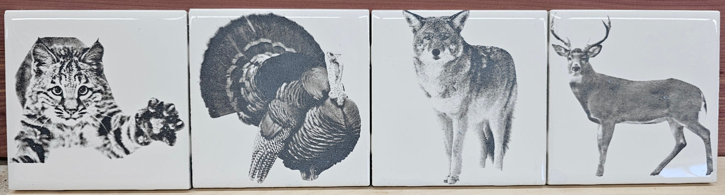 Ceramic Tile Coasters Engraved with wildlife.